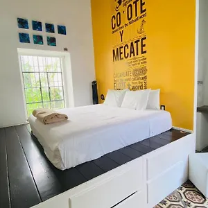 Kuku Ruku Hotel Querétaro